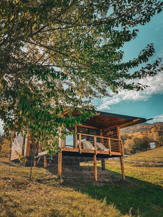 Utopia By Noratlas Heritage - Adults Only Buzău Eksteriør bilde
